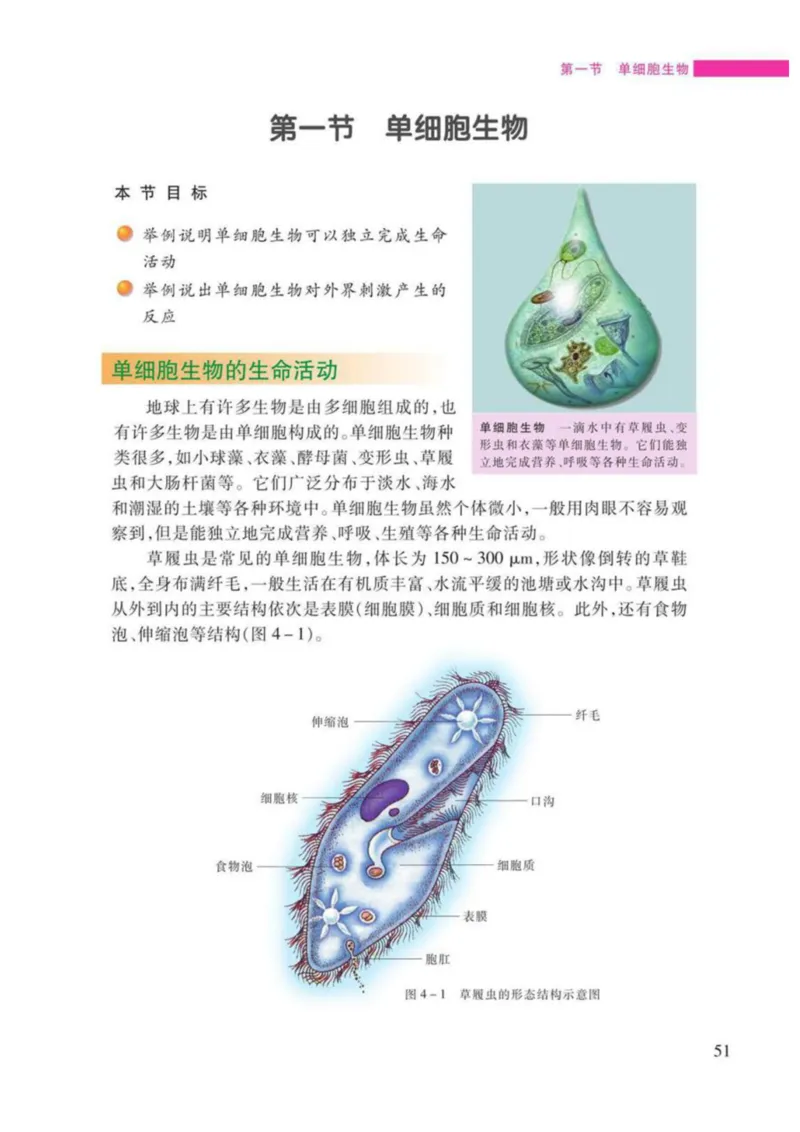 苏教版生物七年级上册_初中电子课本_9.生物_苏教版