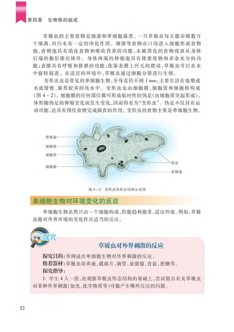 苏教版生物七年级上册_初中电子课本_9.生物_苏教版