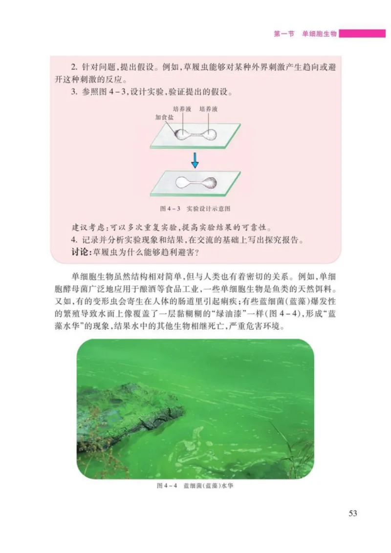 苏教版生物七年级上册_初中电子课本_9.生物_苏教版