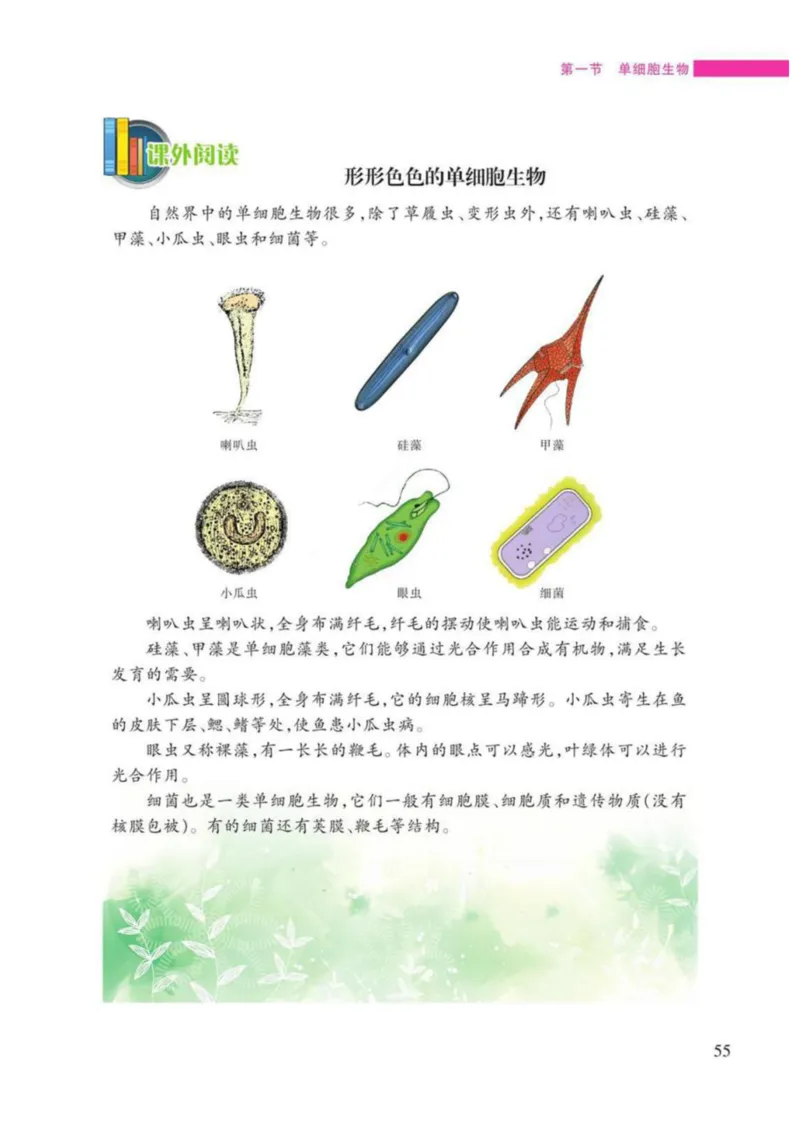 苏教版生物七年级上册_初中电子课本_9.生物_苏教版