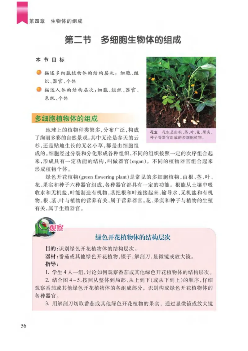 苏教版生物七年级上册_初中电子课本_9.生物_苏教版