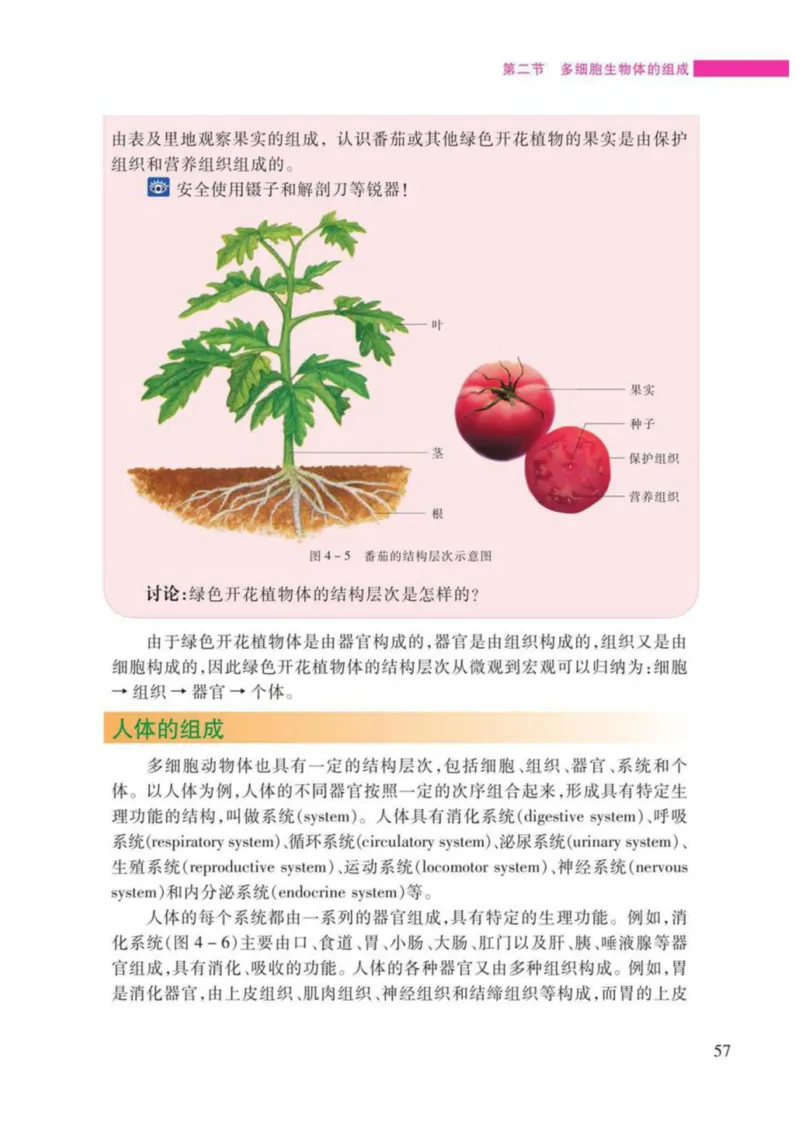 苏教版生物七年级上册_初中电子课本_9.生物_苏教版