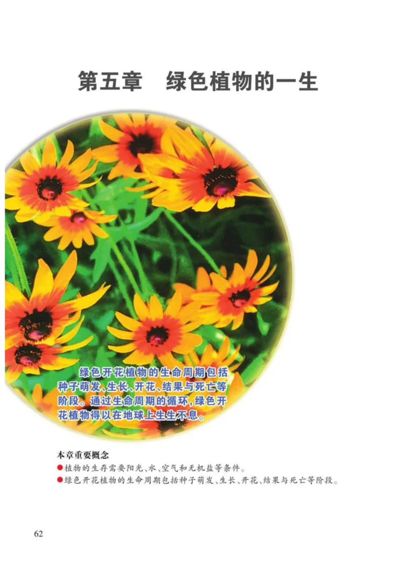 苏教版生物七年级上册_初中电子课本_9.生物_苏教版