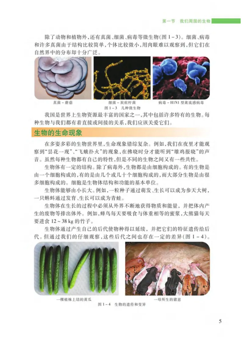 苏教版生物七年级上册_初中电子课本_9.生物_苏教版