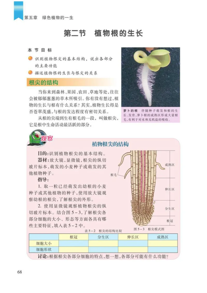 苏教版生物七年级上册_初中电子课本_9.生物_苏教版