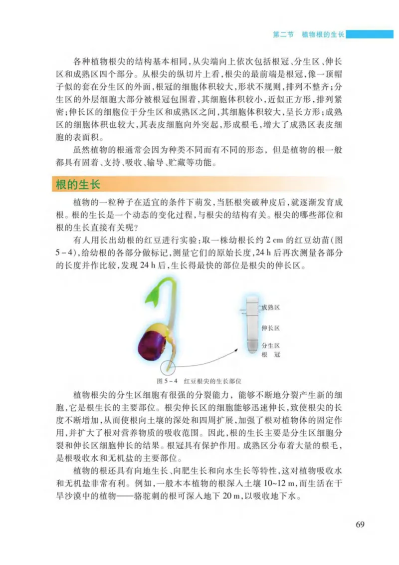 苏教版生物七年级上册_初中电子课本_9.生物_苏教版