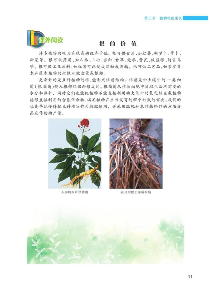 苏教版生物七年级上册_初中电子课本_9.生物_苏教版