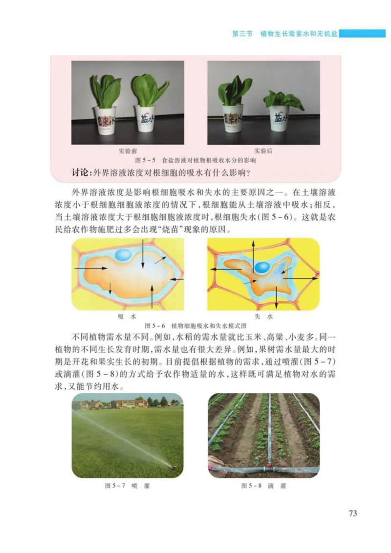 苏教版生物七年级上册_初中电子课本_9.生物_苏教版