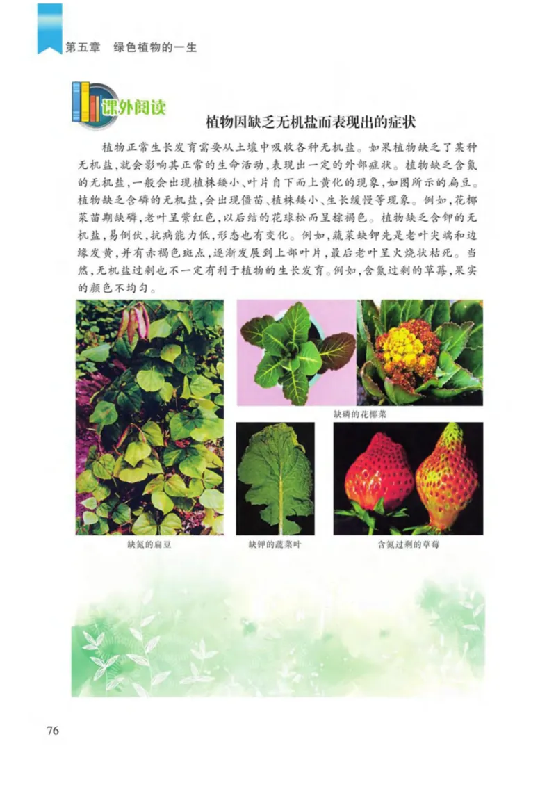 苏教版生物七年级上册_初中电子课本_9.生物_苏教版