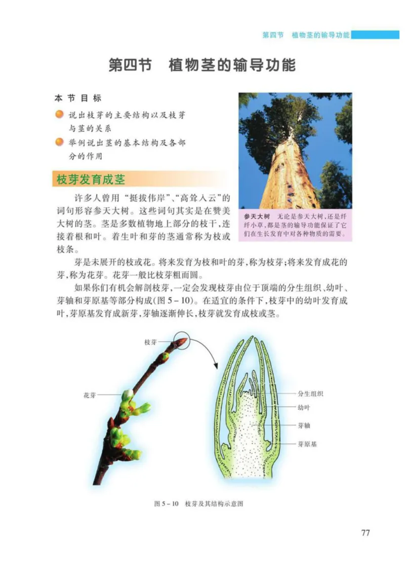 苏教版生物七年级上册_初中电子课本_9.生物_苏教版