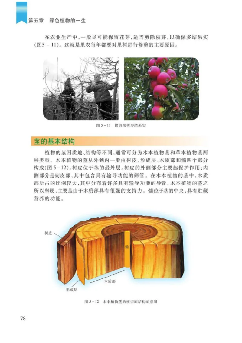 苏教版生物七年级上册_初中电子课本_9.生物_苏教版