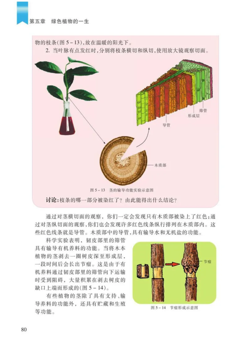 苏教版生物七年级上册_初中电子课本_9.生物_苏教版