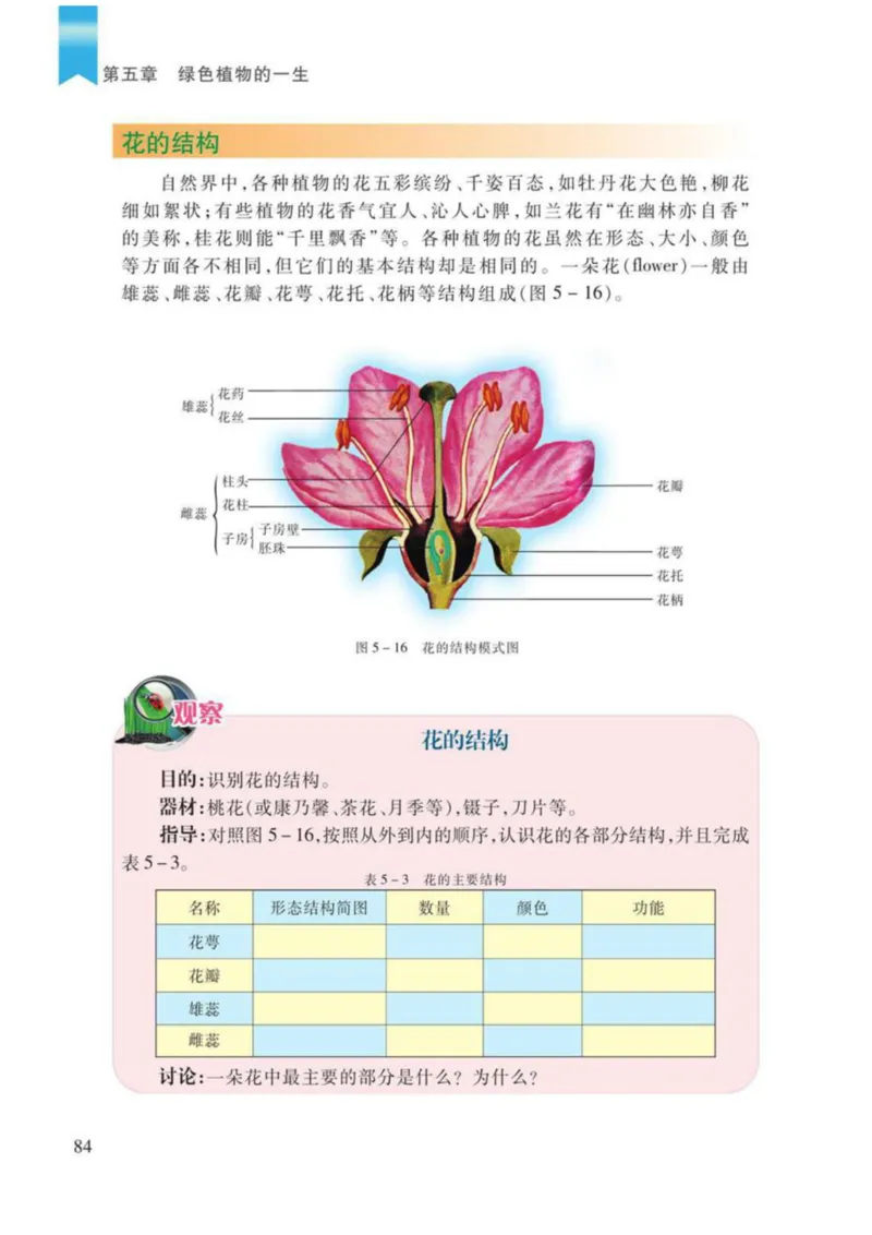 苏教版生物七年级上册_初中电子课本_9.生物_苏教版