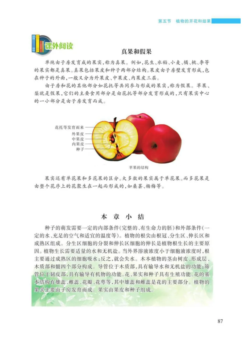 苏教版生物七年级上册_初中电子课本_9.生物_苏教版