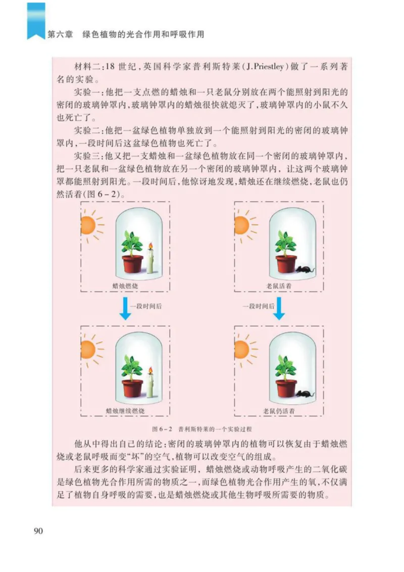 苏教版生物七年级上册_初中电子课本_9.生物_苏教版
