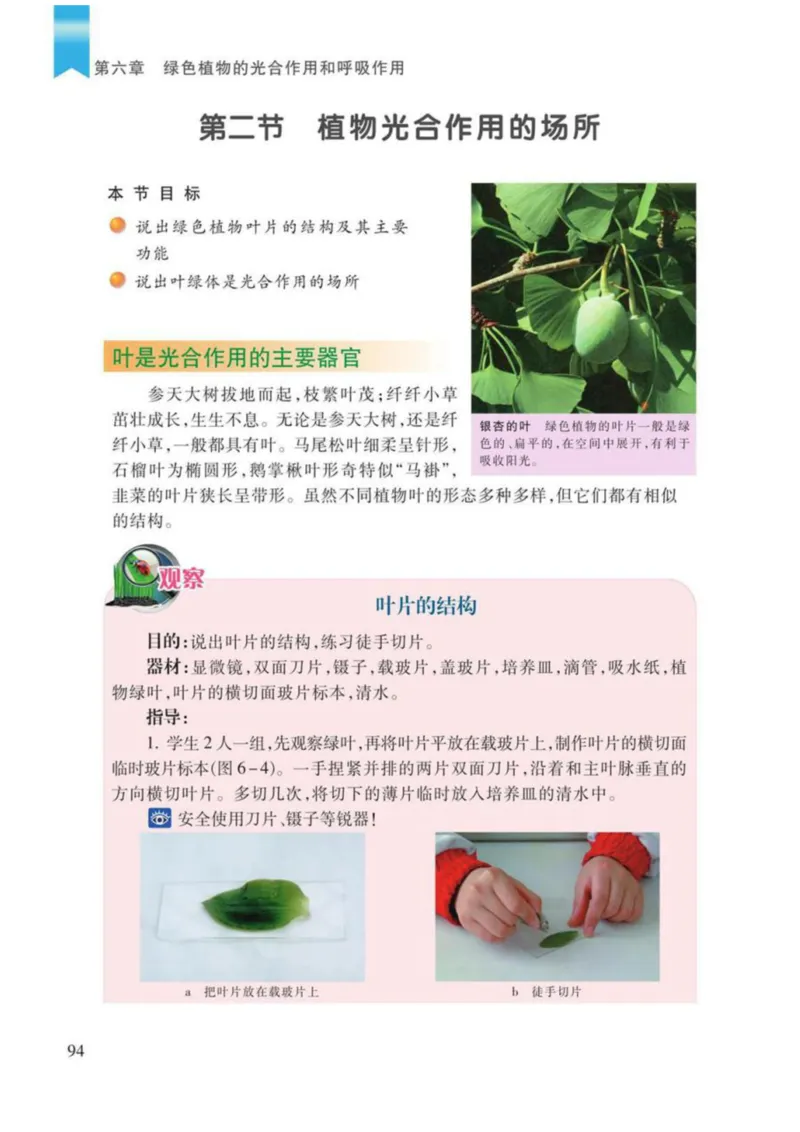 苏教版生物七年级上册_初中电子课本_9.生物_苏教版