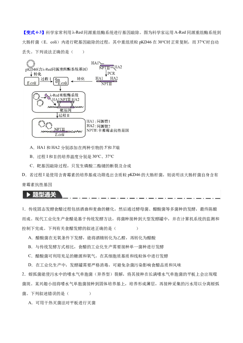 专题九生物技术与工程（原卷版）_2025年新高考资料_二轮复习_01高考语文等多个文件_举一反三2025年高考生物二轮重点专题讲义（新高考通用）