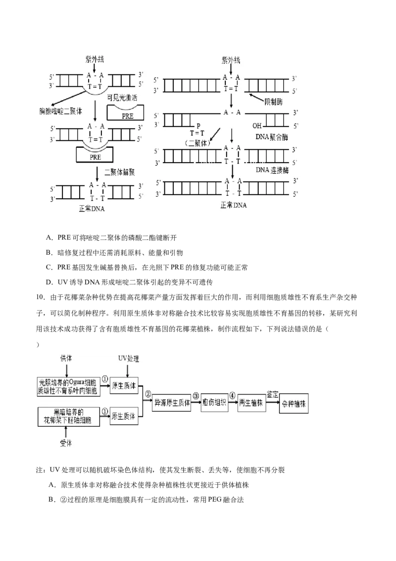 专题九生物技术与工程（原卷版）_2025年新高考资料_二轮复习_01高考语文等多个文件_举一反三2025年高考生物二轮重点专题讲义（新高考通用）
