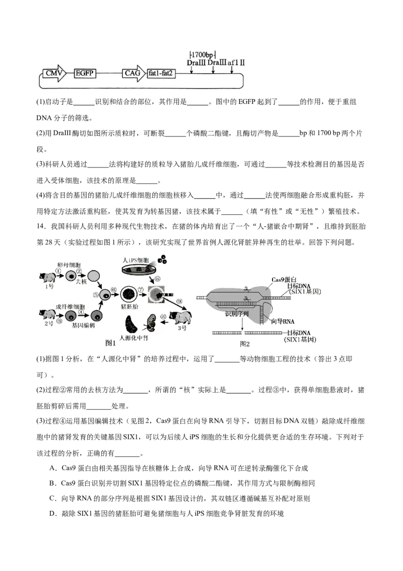 专题九生物技术与工程（原卷版）_2025年新高考资料_二轮复习_01高考语文等多个文件_举一反三2025年高考生物二轮重点专题讲义（新高考通用）