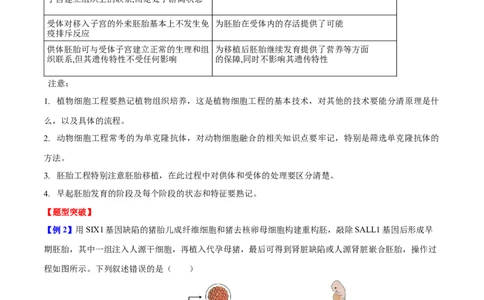 专题九生物技术与工程（原卷版）_2025年新高考资料_二轮复习_01高考语文等多个文件_举一反三2025年高考生物二轮重点专题讲义（新高考通用）