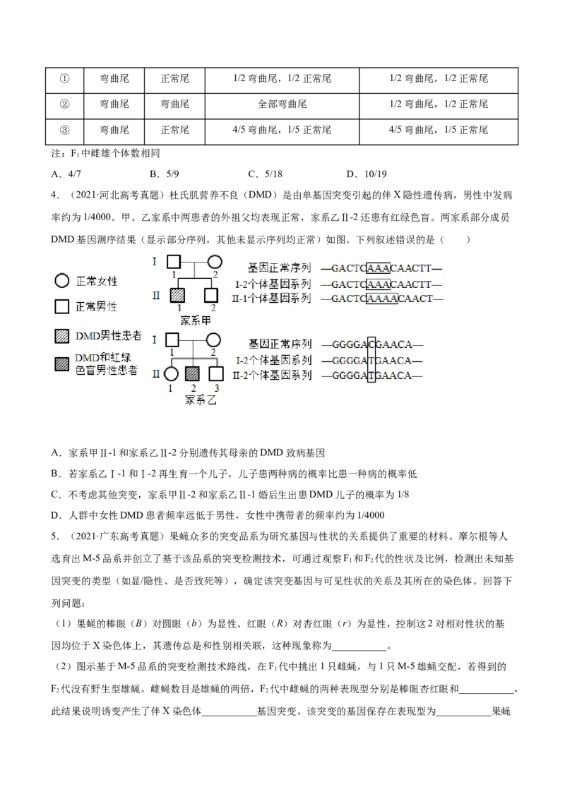 专题9伴性遗传和人类遗传病-2021年高考真题和模拟题生物分项汇编（原卷版）_新高考复习资料_2022年新高考复习资料_2021年高考真题和模拟题生物分项汇编7.30更新