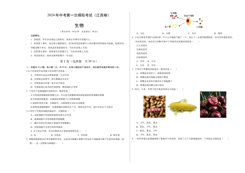 生物（江西卷）（考试版A3）_初中全科电子版试卷练习试题_生物_2024中考模拟题生物(1)_一模_生物（江西卷）-2024年中考第一次模拟考试