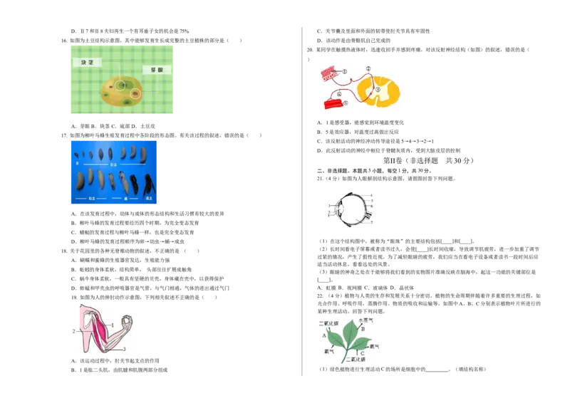 生物（江西卷）（考试版A3）_初中全科电子版试卷练习试题_生物_2024中考模拟题生物(1)_一模_生物（江西卷）-2024年中考第一次模拟考试
