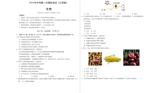 生物（江西卷）（考试版A3）_初中全科电子版试卷练习试题_生物_2024中考模拟题生物(1)_一模_生物（江西卷）-2024年中考第一次模拟考试