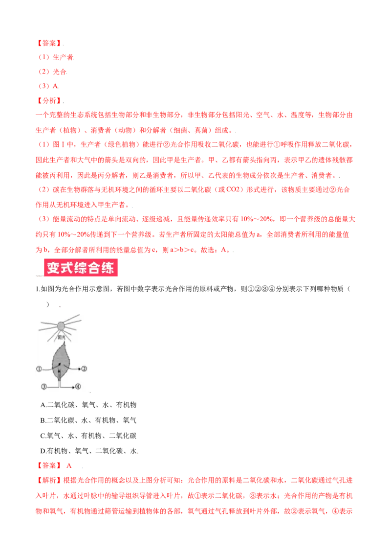 必考点21光合作用吸收二氧化碳释放氧气-（人教版）（解析版）_初中全科电子版试卷练习试题_生物_生物人教版7上练习&mdash;24新版已更新_人教生物7年级上专项练习28份