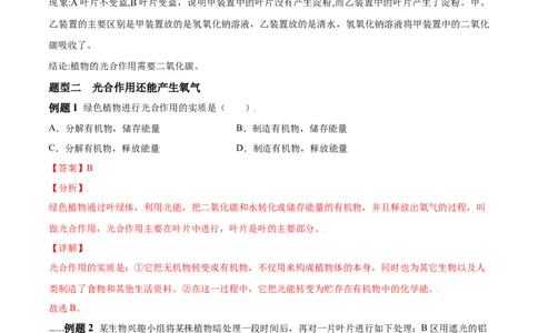 必考点21光合作用吸收二氧化碳释放氧气-（人教版）（解析版）_初中全科电子版试卷练习试题_生物_生物人教版7上练习&mdash;24新版已更新_人教生物7年级上专项练习28份