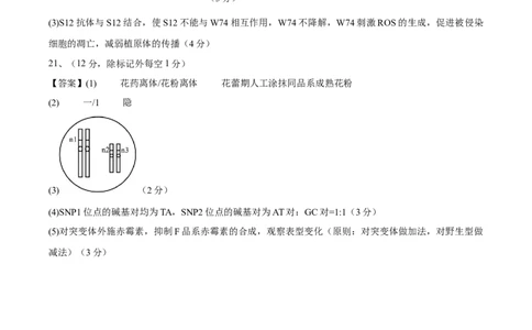 信息必刷卷01（北京专用）（参考答案）_2025年新高考资料_2025考前信息卷_2025年高考生物考前信息必刷卷（北京专用）34427555