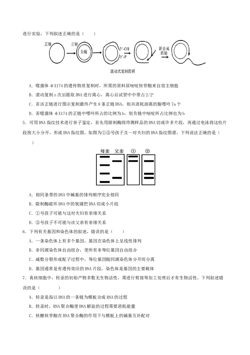 专题五遗传的分子基础、变异和进化（原卷版）_2025年新高考资料_二轮复习_上好课2025年高考生物二轮复习讲练测（新高考通用）3380526