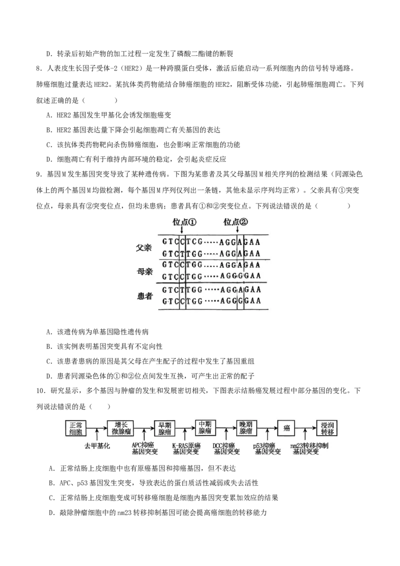 专题五遗传的分子基础、变异和进化（原卷版）_2025年新高考资料_二轮复习_上好课2025年高考生物二轮复习讲练测（新高考通用）3380526