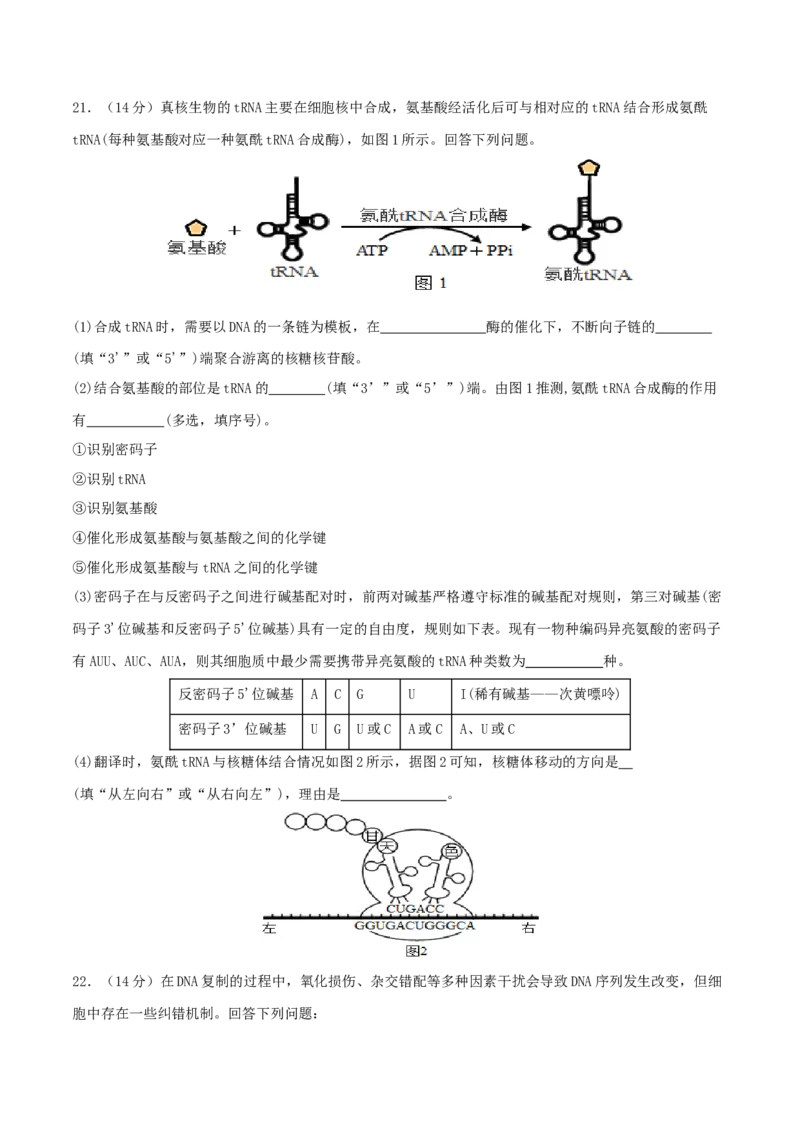 专题五遗传的分子基础、变异和进化（原卷版）_2025年新高考资料_二轮复习_上好课2025年高考生物二轮复习讲练测（新高考通用）3380526