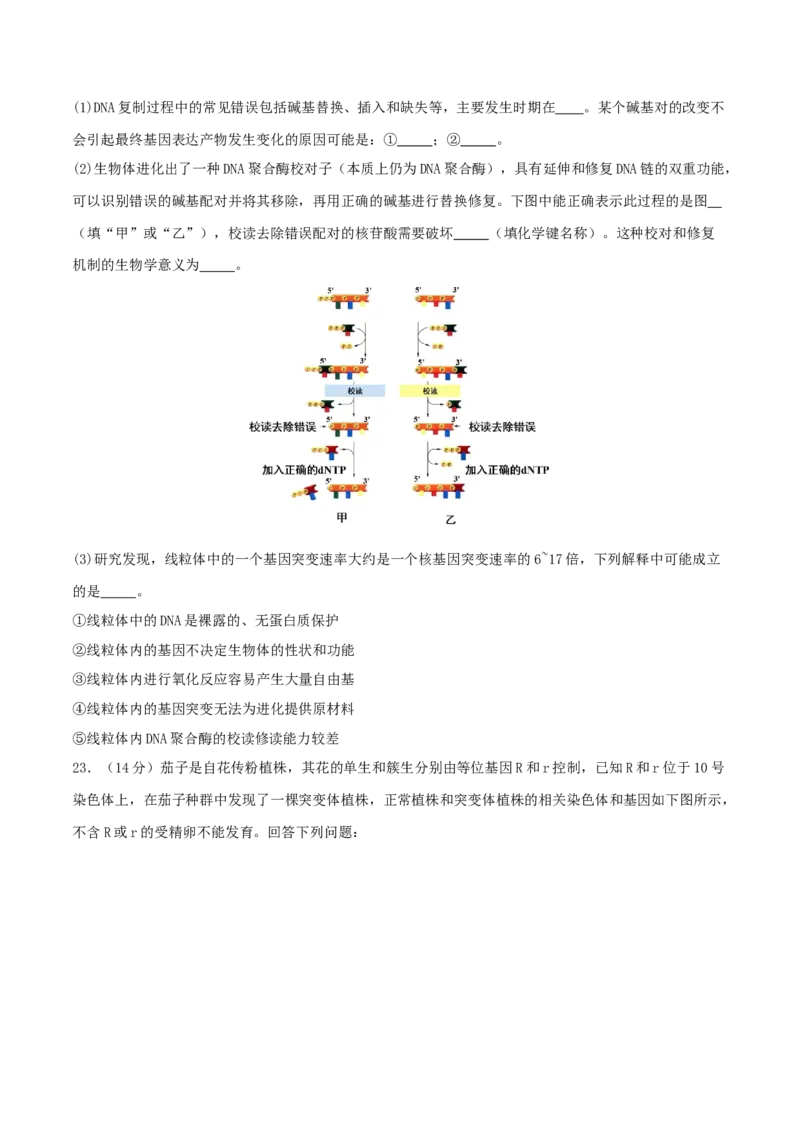 专题五遗传的分子基础、变异和进化（原卷版）_2025年新高考资料_二轮复习_上好课2025年高考生物二轮复习讲练测（新高考通用）3380526
