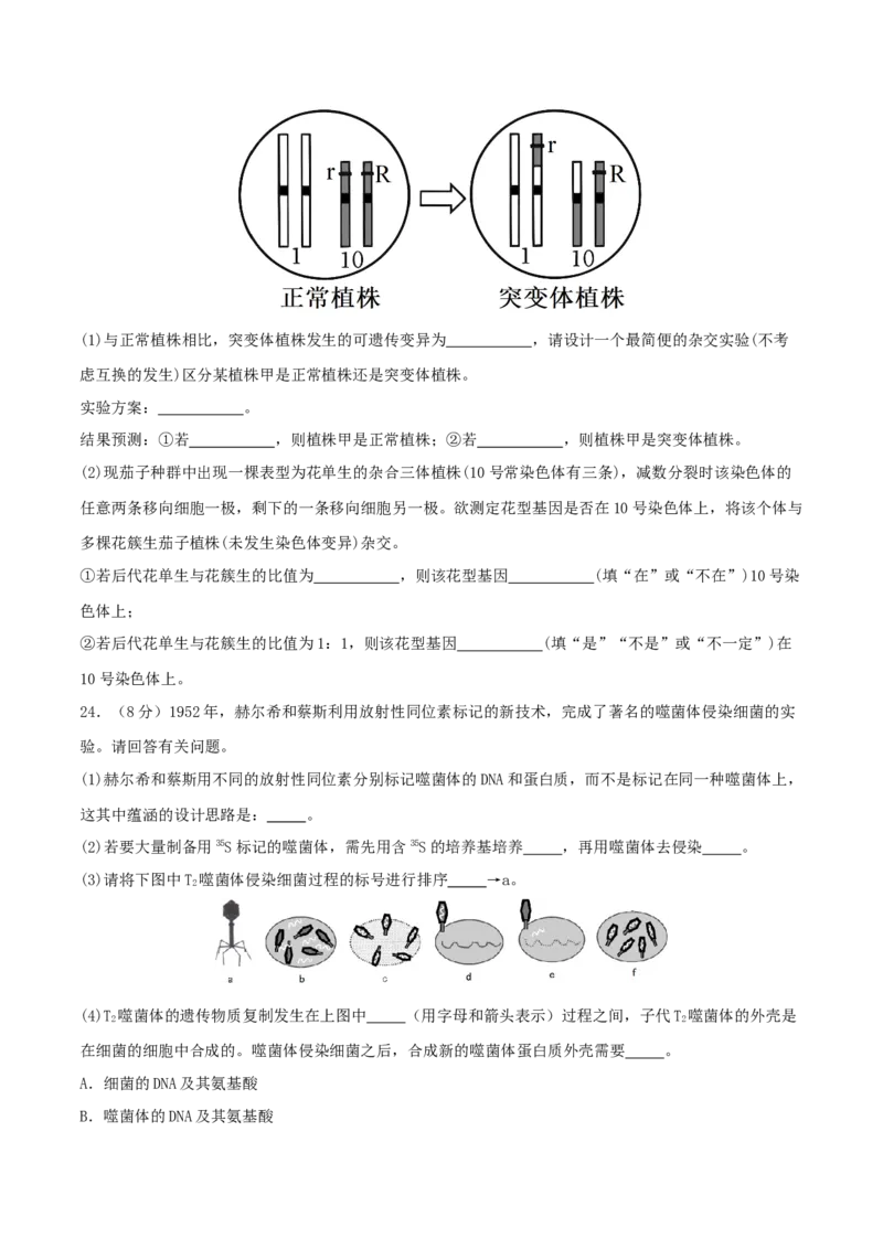 专题五遗传的分子基础、变异和进化（原卷版）_2025年新高考资料_二轮复习_上好课2025年高考生物二轮复习讲练测（新高考通用）3380526