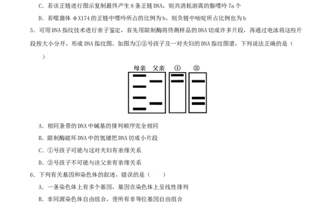 专题五遗传的分子基础、变异和进化（原卷版）_2025年新高考资料_二轮复习_上好课2025年高考生物二轮复习讲练测（新高考通用）3380526