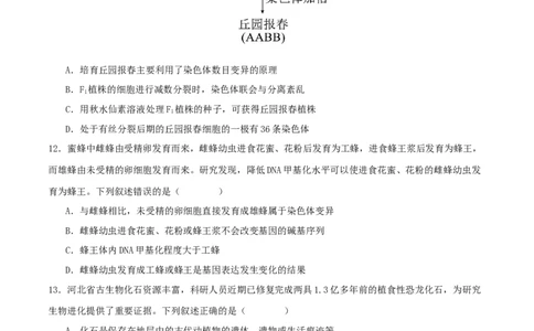 专题五遗传的分子基础、变异和进化（原卷版）_2025年新高考资料_二轮复习_上好课2025年高考生物二轮复习讲练测（新高考通用）3380526
