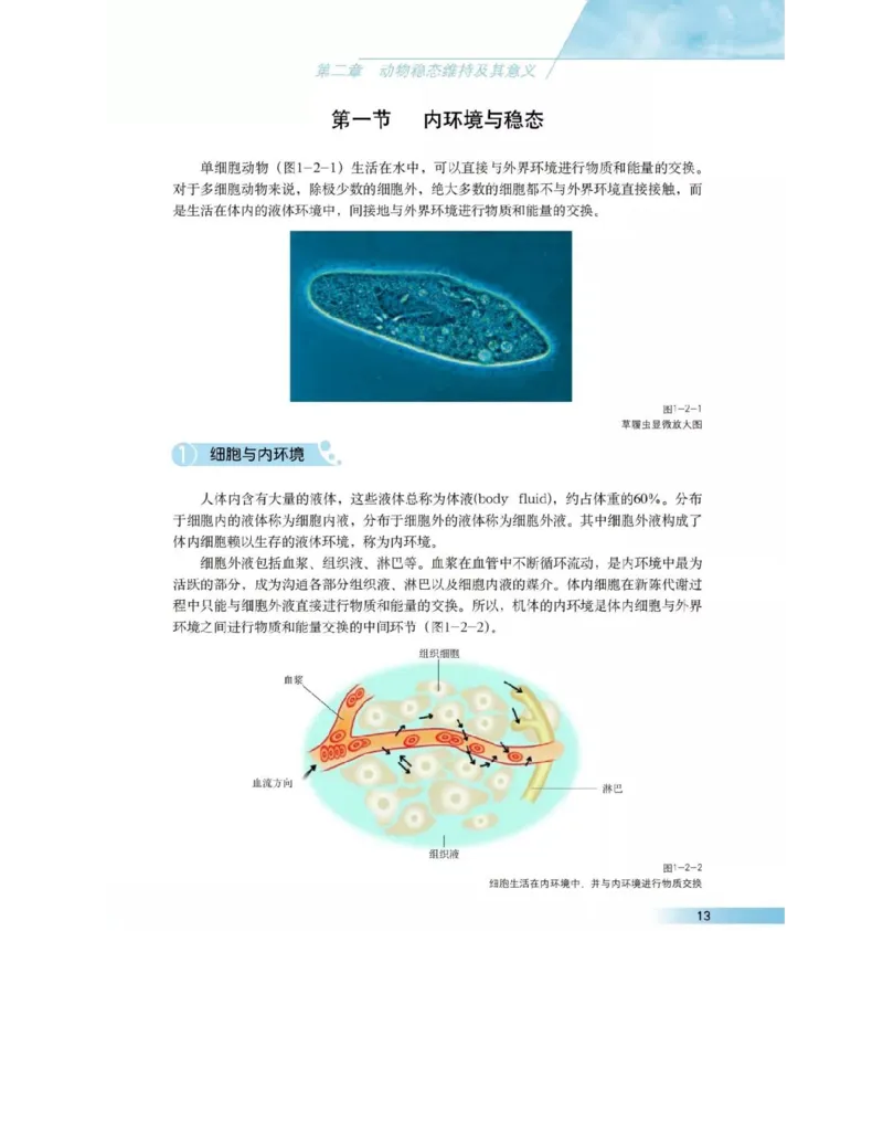沪科版高中生物必修3《稳态与环境》电子课本_高中电子课本_6.高中生物课本_沪科版高中生物
