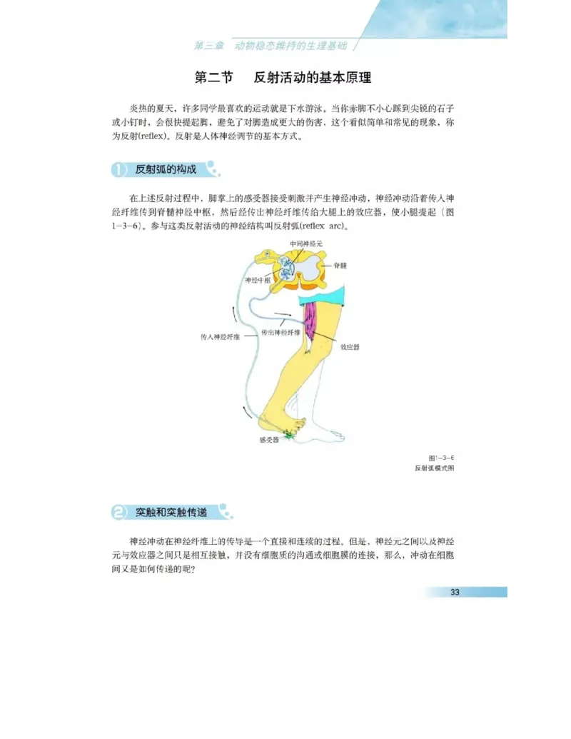 沪科版高中生物必修3《稳态与环境》电子课本_高中电子课本_6.高中生物课本_沪科版高中生物