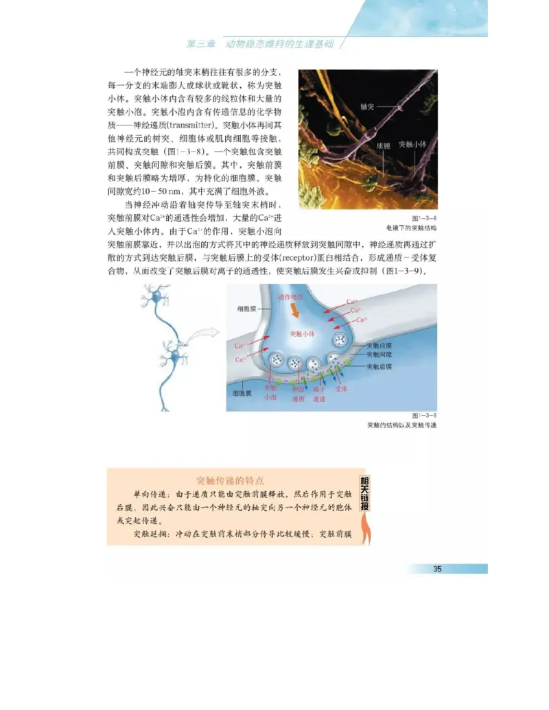 沪科版高中生物必修3《稳态与环境》电子课本_高中电子课本_6.高中生物课本_沪科版高中生物