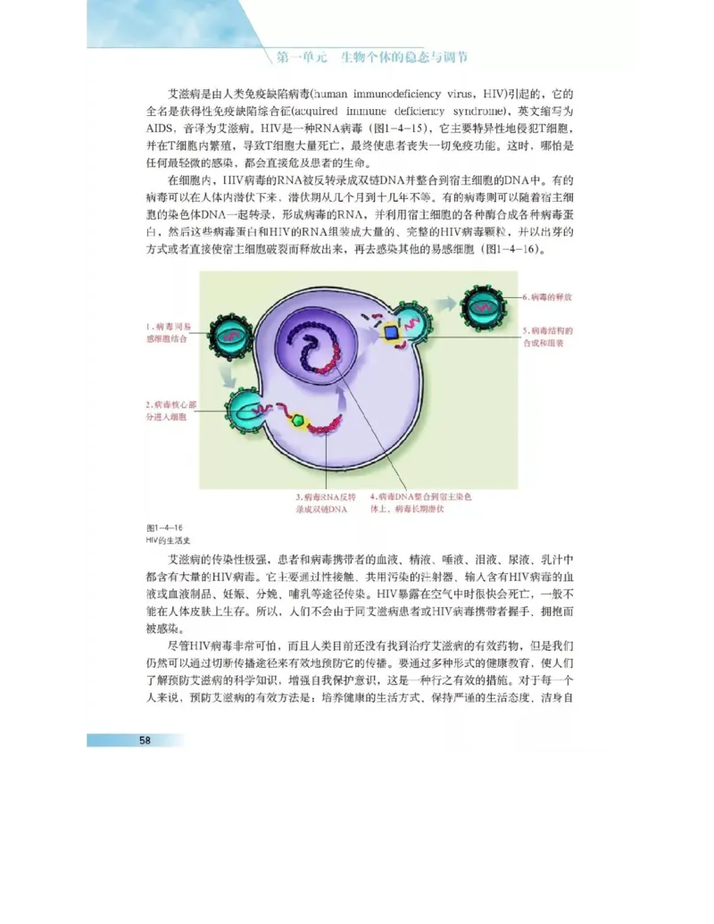 沪科版高中生物必修3《稳态与环境》电子课本_高中电子课本_6.高中生物课本_沪科版高中生物