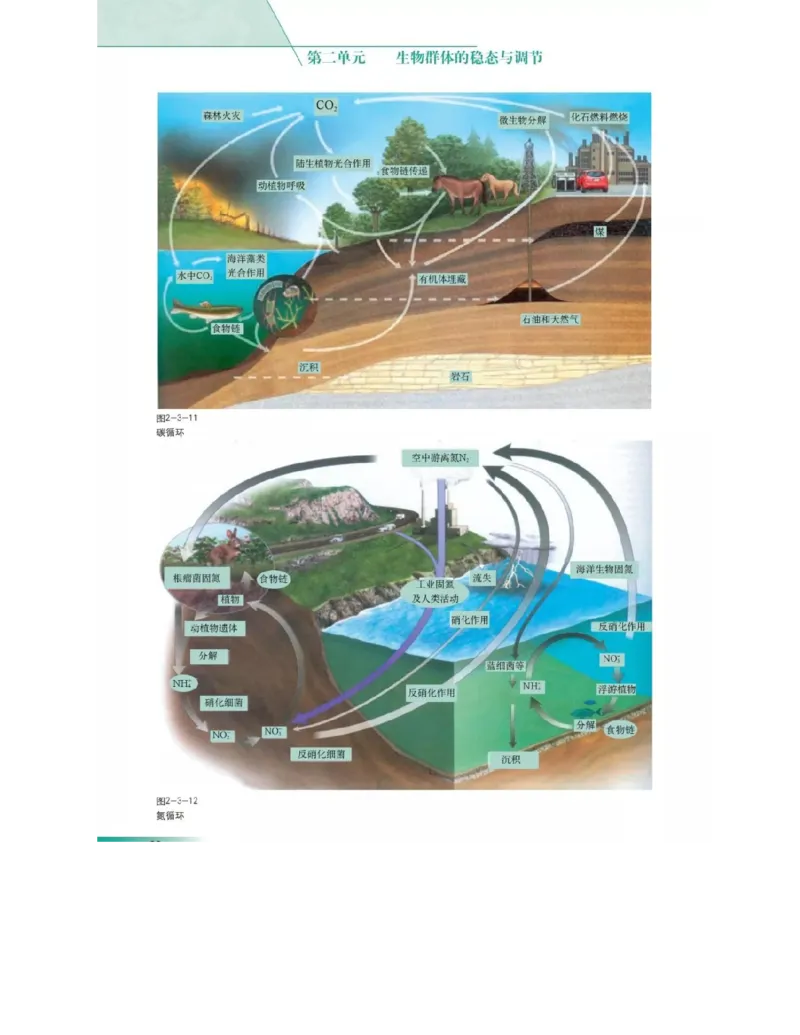 沪科版高中生物必修3《稳态与环境》电子课本_高中电子课本_6.高中生物课本_沪科版高中生物