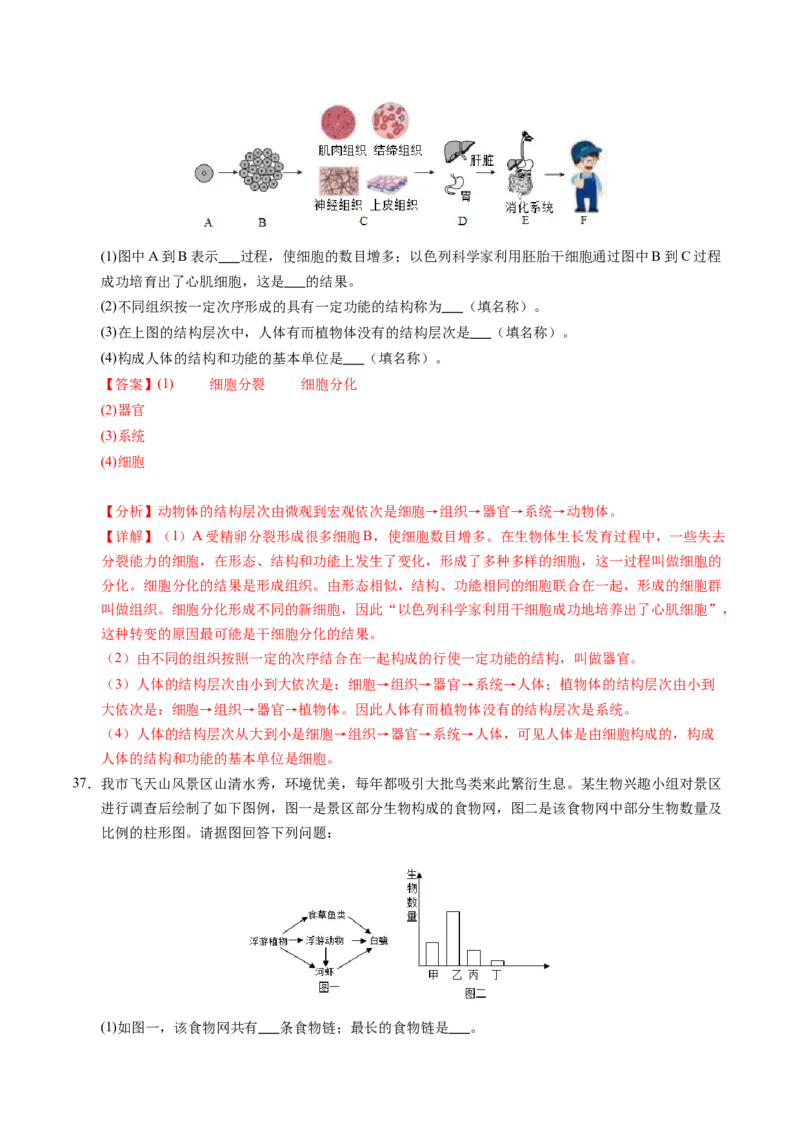 生物（扬州卷）（全解全析）_初中全科电子版试卷练习试题_生物_2024中考模拟题生物(1)_二模_生物（扬州卷）-：2024年中考第二次模拟考试