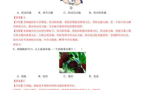 生物（扬州卷）（全解全析）_初中全科电子版试卷练习试题_生物_2024中考模拟题生物(1)_二模_生物（扬州卷）-：2024年中考第二次模拟考试