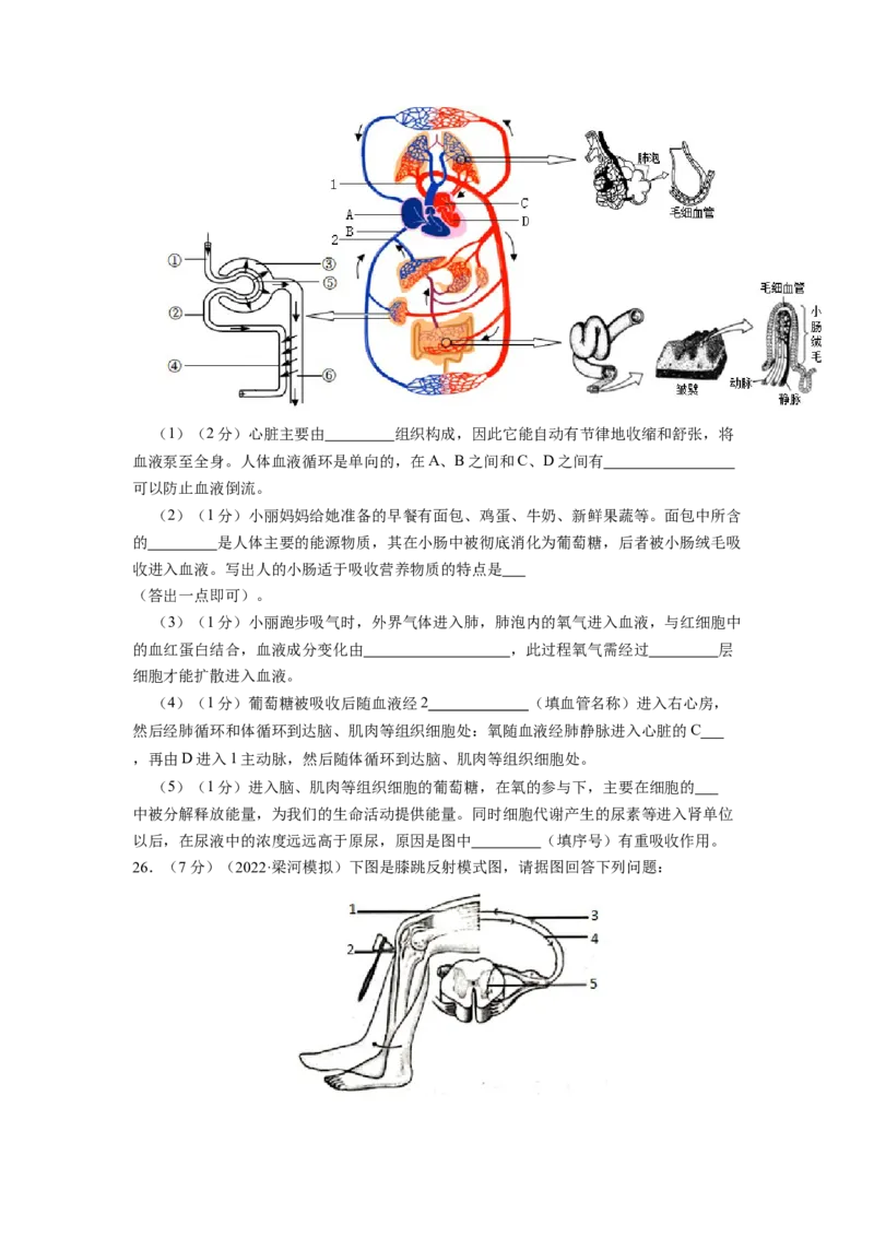 期末冲刺卷05-（人教版）（原卷版）_初中全科电子版试卷练习试题_生物_生物人教版7下练习_人教生物7年级下期末试卷11份