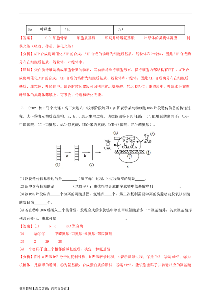 专题综合练06基因的表达(解析版)_新高考复习资料_2024年新高考复习资料_一轮复习资料_完备战2024年高考生物一轮复习考点帮（新高考）_必修2