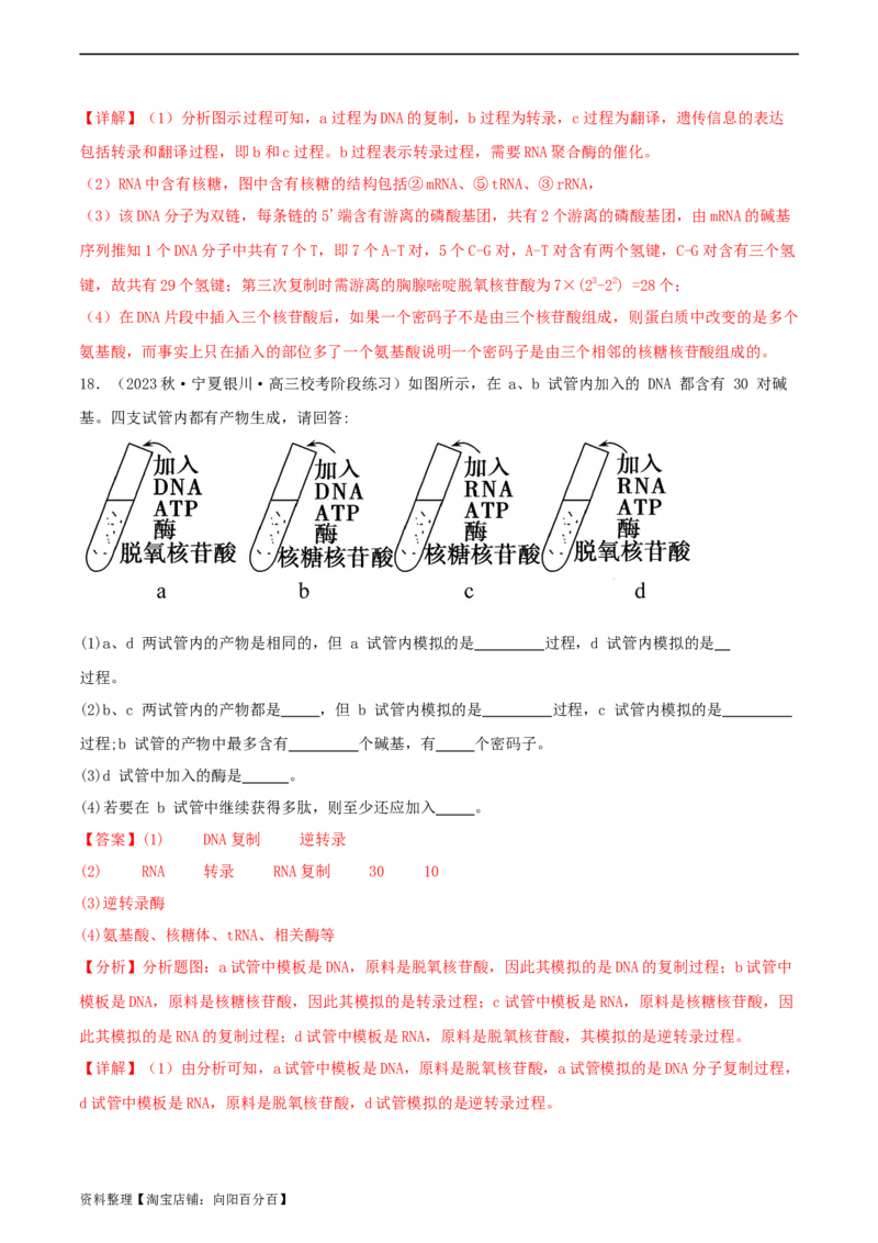 专题综合练06基因的表达(解析版)_新高考复习资料_2024年新高考复习资料_一轮复习资料_完备战2024年高考生物一轮复习考点帮（新高考）_必修2
