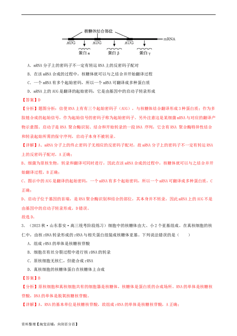 专题综合练06基因的表达(解析版)_新高考复习资料_2024年新高考复习资料_一轮复习资料_完备战2024年高考生物一轮复习考点帮（新高考）_必修2