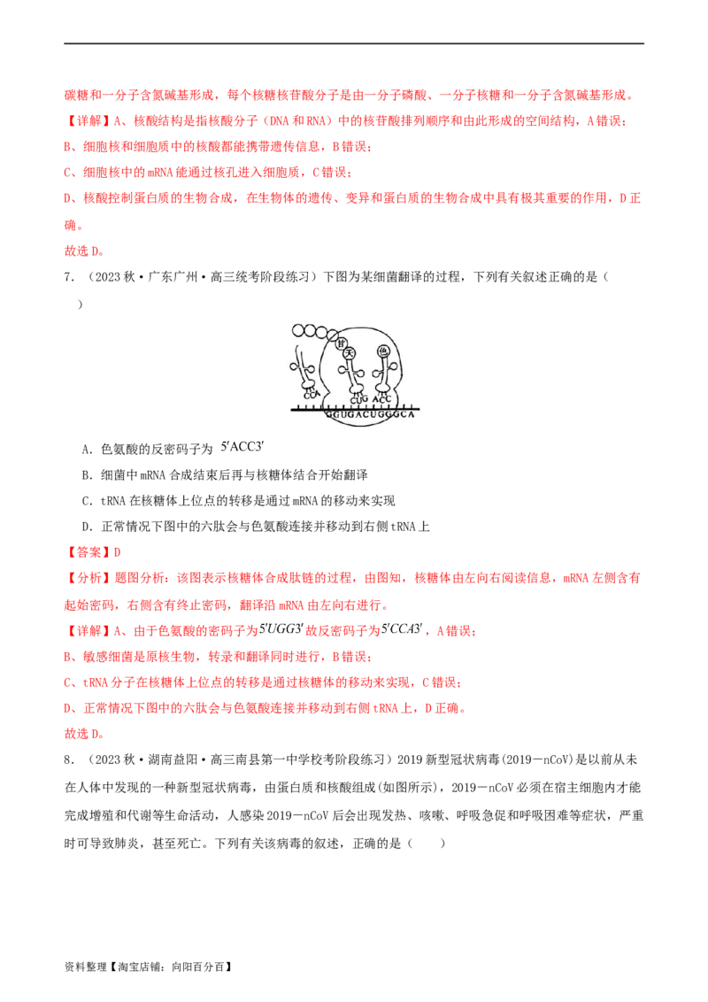 专题综合练06基因的表达(解析版)_新高考复习资料_2024年新高考复习资料_一轮复习资料_完备战2024年高考生物一轮复习考点帮（新高考）_必修2